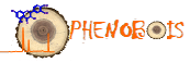 Logo Phenobois